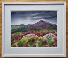 Carrigoona to Great Sugar Loaf